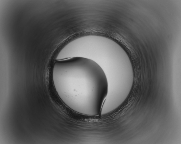 X0000093370448200711081528
