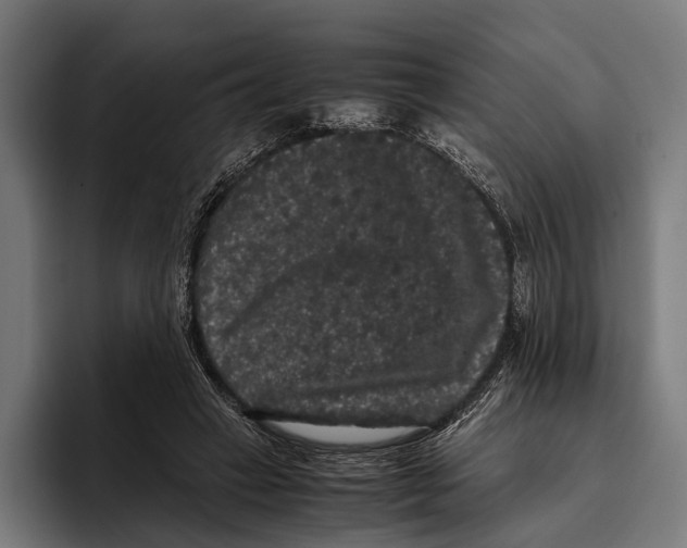 X0000093370449200711081528