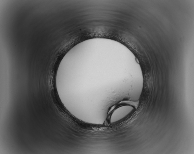 X0000093370450200711081528