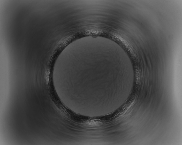 X0000093370451200711081528