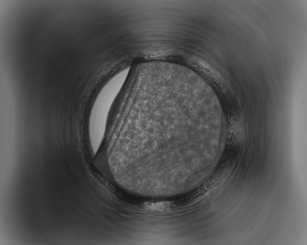 X0000093370452200711081528