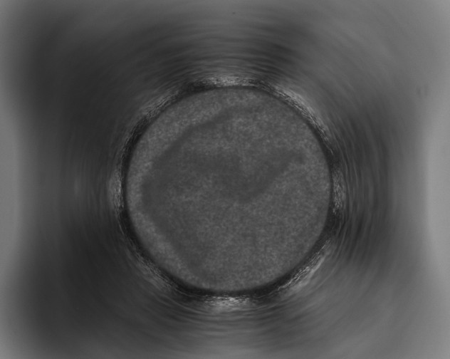 X0000093370453200711081528
