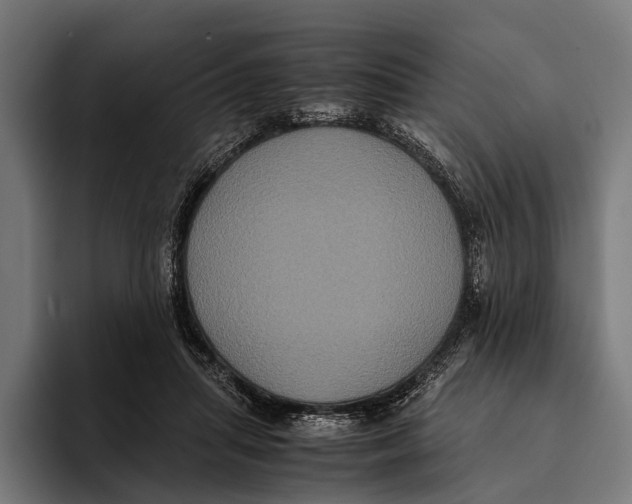 X0000093370455200711081528