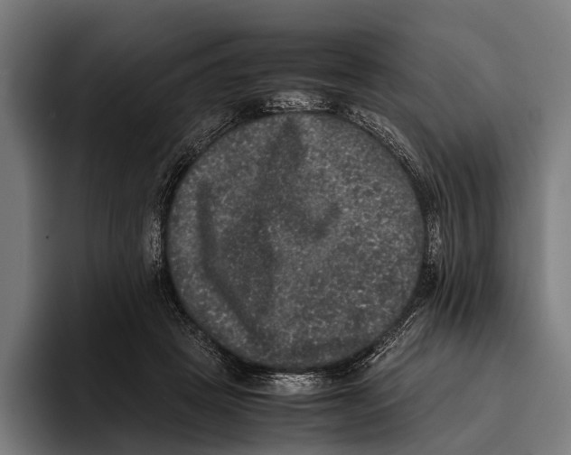 X0000093370457200711081528