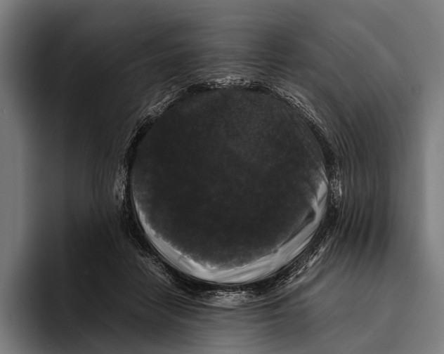 X0000093370458200711081528