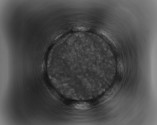 X0000093370459200711081528