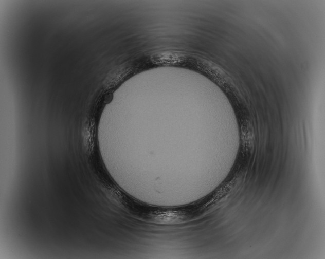 X0000093370460200711081528