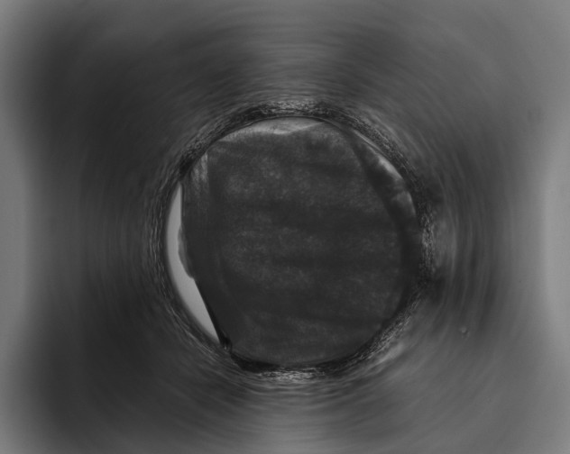 X0000093370462200711081528
