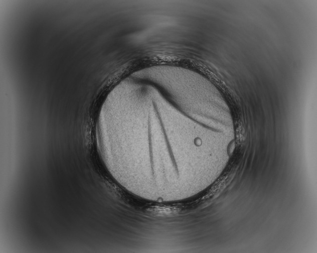 X0000093370464200711081528
