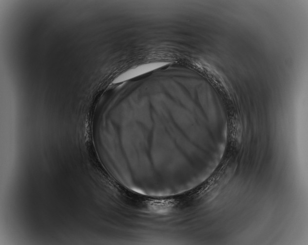 X0000093370465200711081528