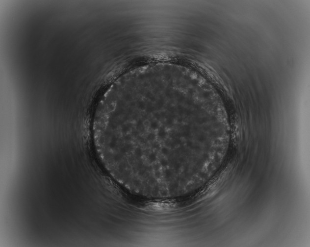 X0000093370466200711081528