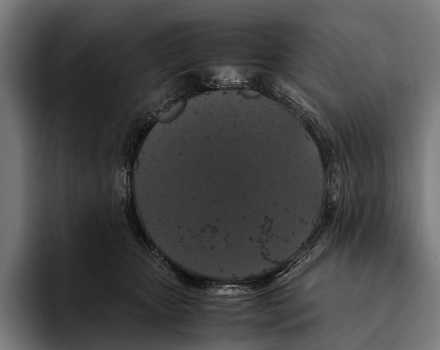 X0000093370467200711081528