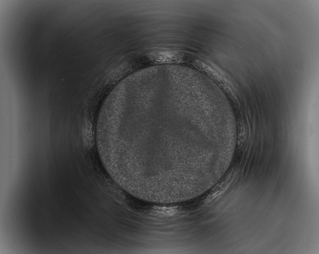 X0000093370469200711081528