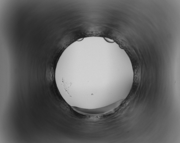 X0000093370474200711081528