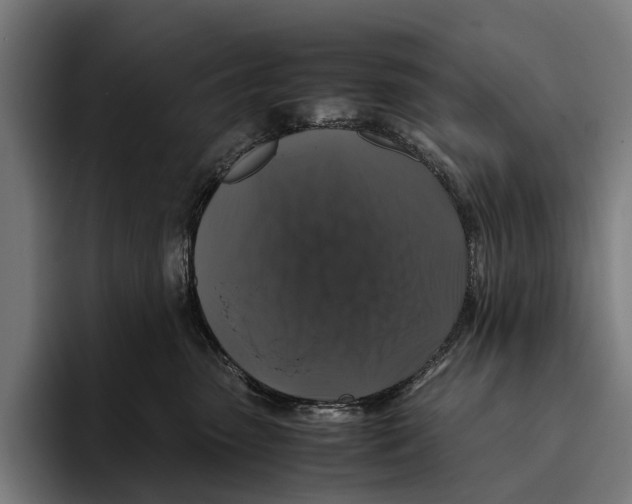 X0000093370475200711081528