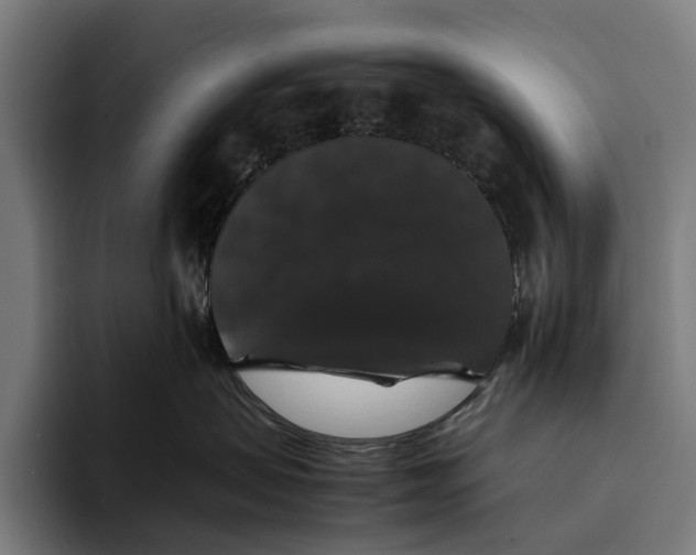 X0000093370479200711081528