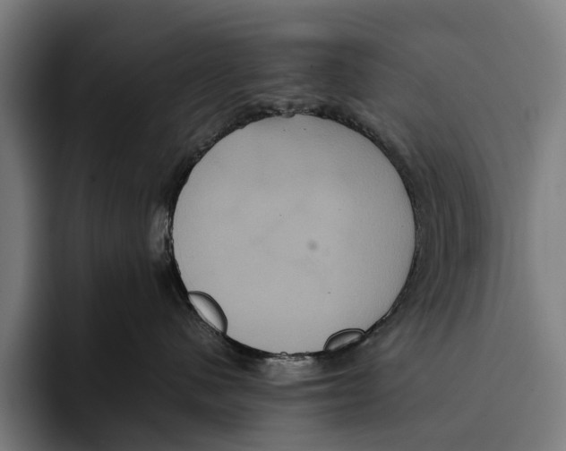 X0000093370480200711081528