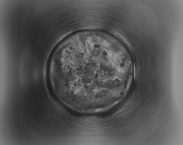 X0000093370483200711081528