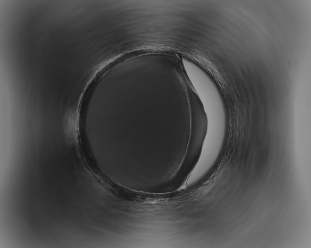 X0000093370484200711081528