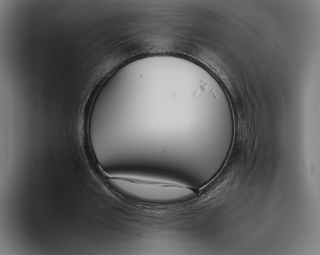 X0000093370485200711081528