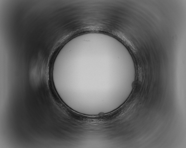 X0000093370486200711081528