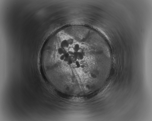 X0000093370487200711081528