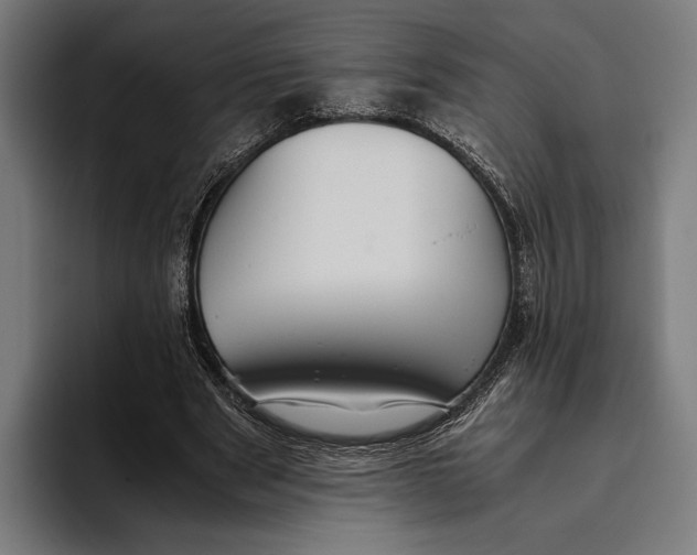 X0000093370489200711081528