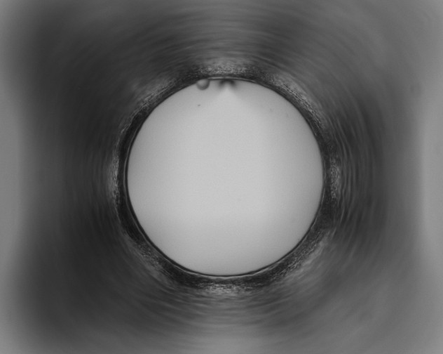 X0000093370490200711081528