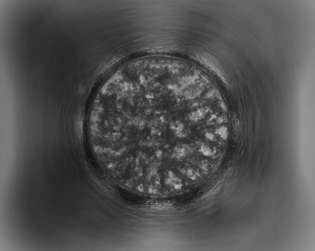 X0000093370491200711081528