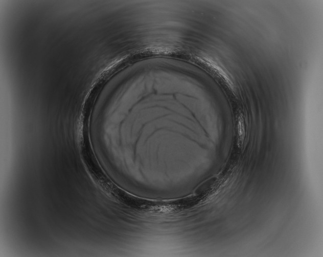 X0000093370492200711081528