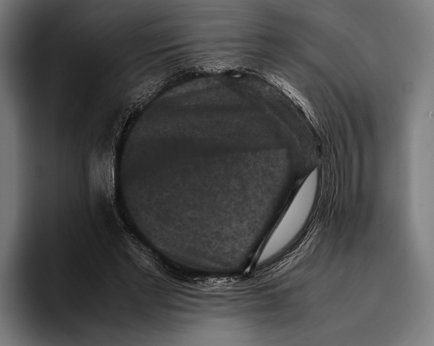 X0000093370493200711081528