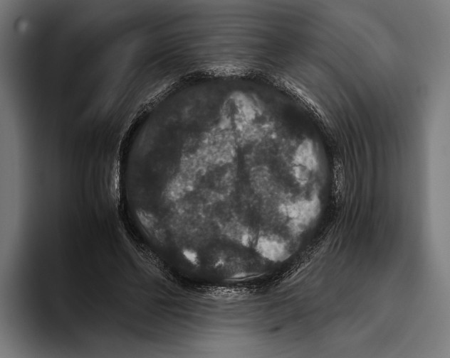 X0000093370494200711081528
