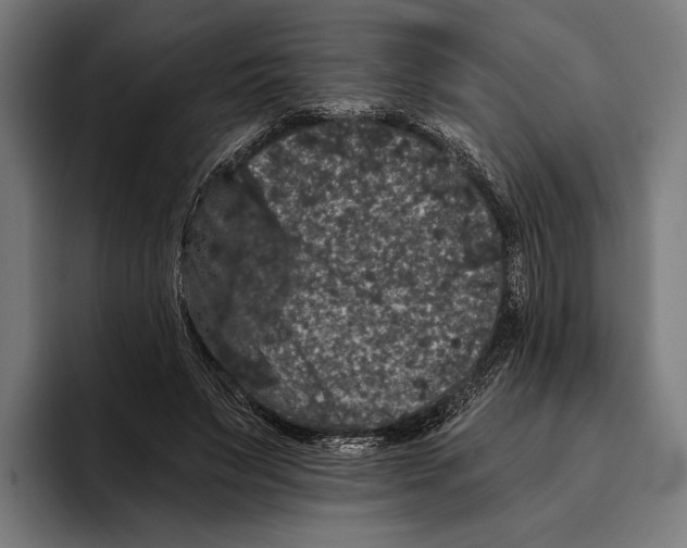 X0000093370495200711081528