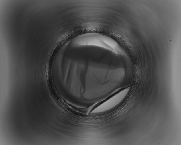 X0000093370496200711081528