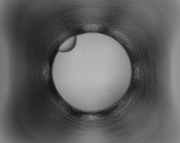 X0000093370498200711081527