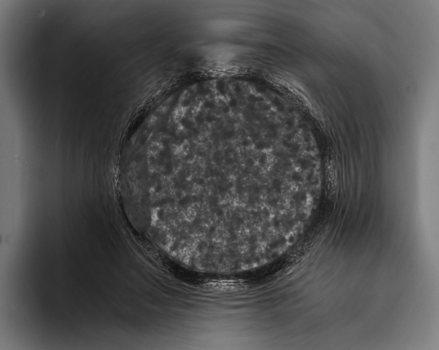 X0000093370499200711081527