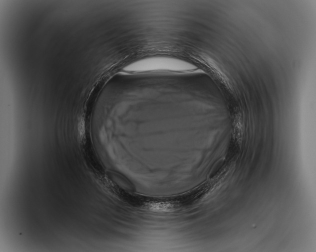 X0000093370500200711081527