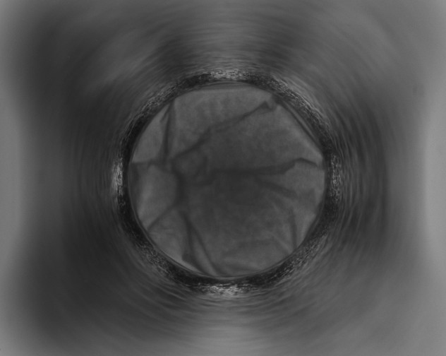 X0000093370502200711081527