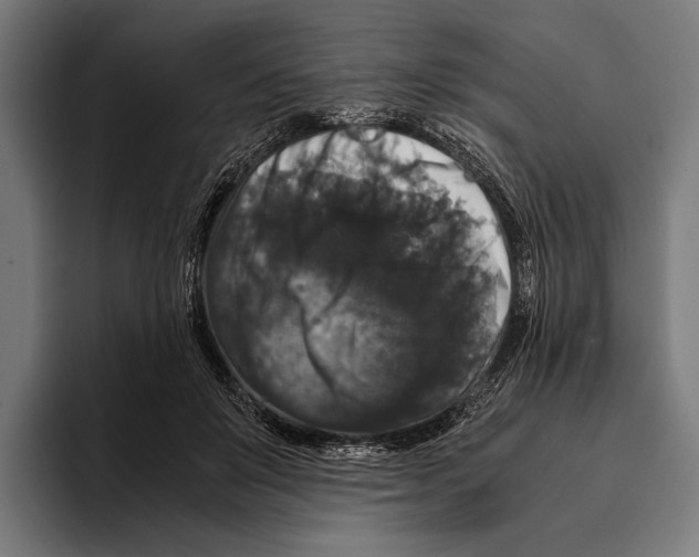 X0000093370503200711081527