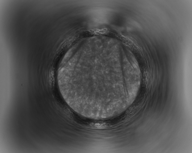X0000093370506200711081527