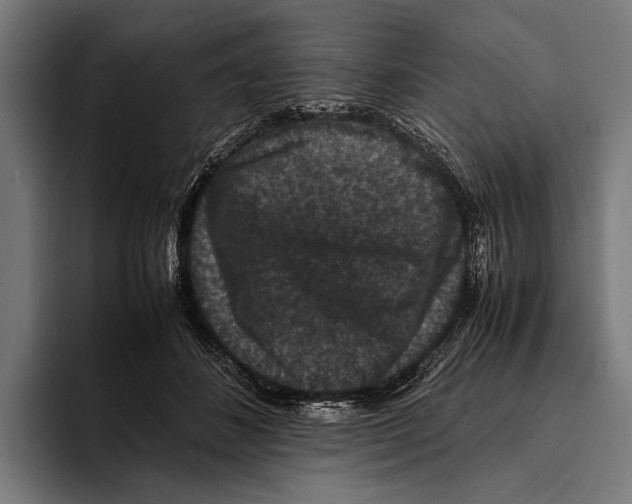 X0000093370508200711081527