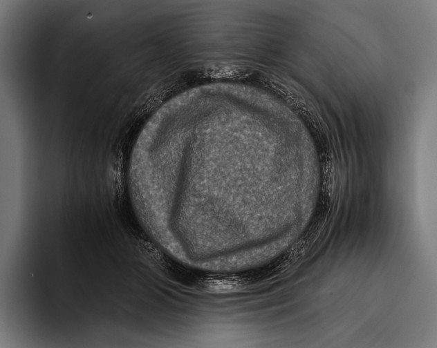 X0000093370510200711081527