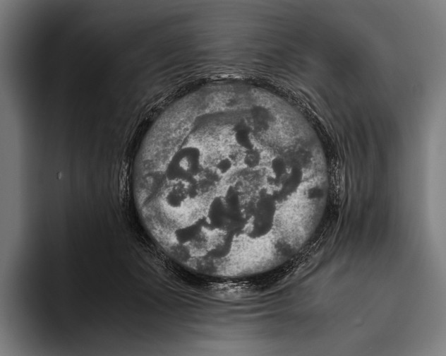 X0000093370511200711081527