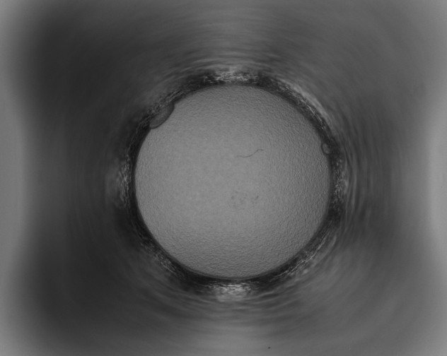 X0000093370513200711081527