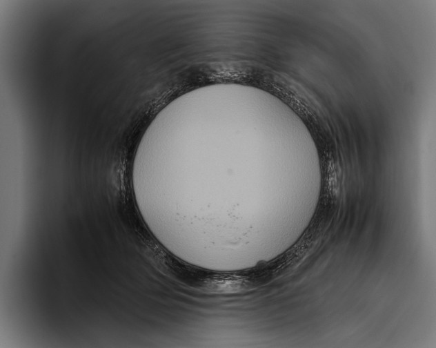 X0000093370514200711081527