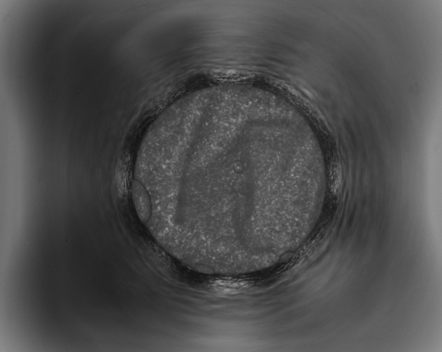 X0000093370515200711081527