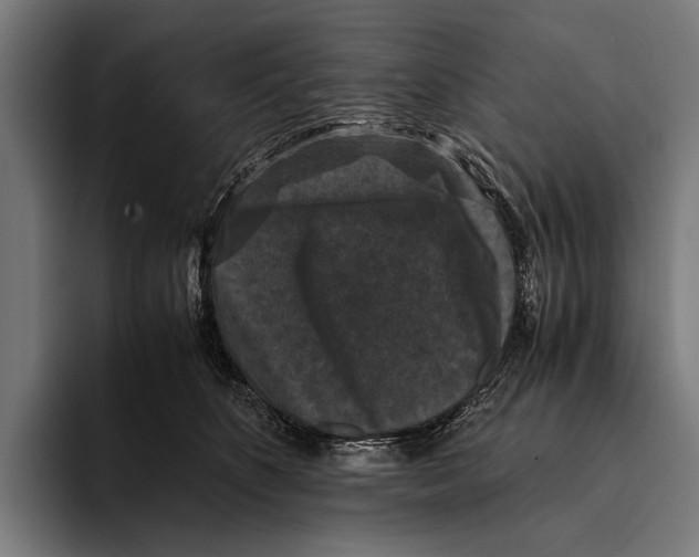 X0000093370516200711081527