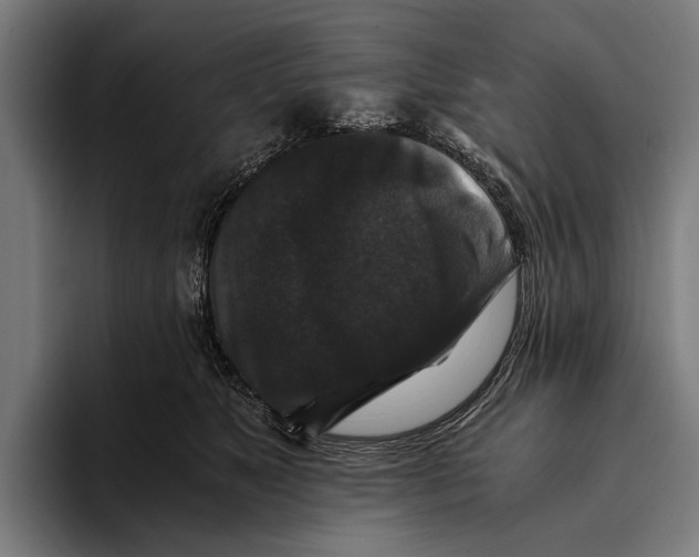 X0000093370517200711081527