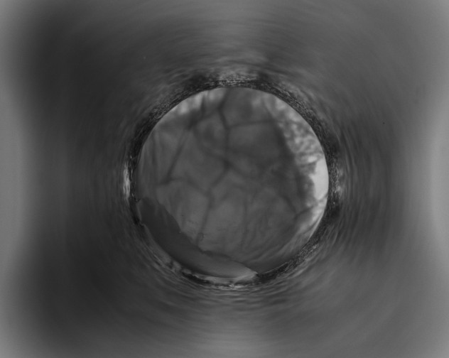 X0000093370519200711081527