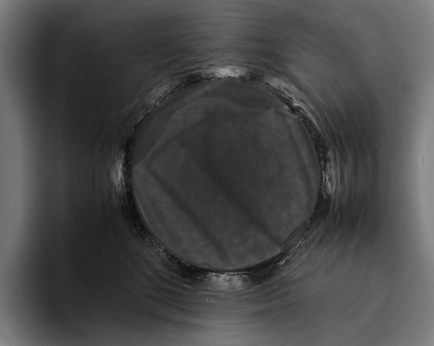 X0000093370520200711081527